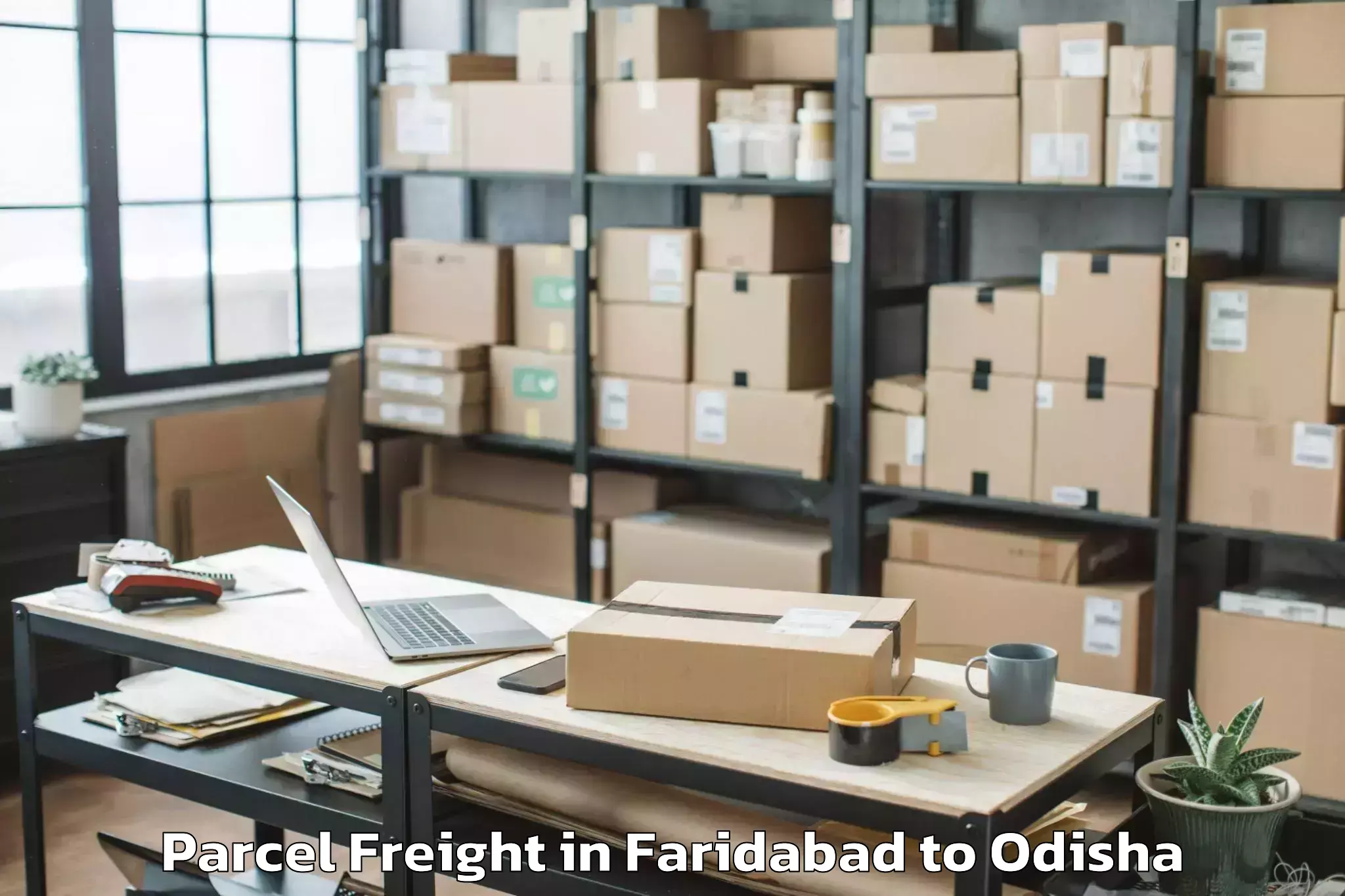 Easy Faridabad to Sambalpur Parcel Freight Booking